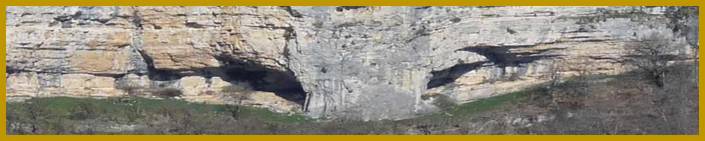 FELINOBANNER.JPG