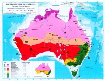 Austrtermo
