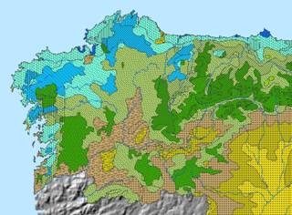 Descripci�n: Descripci�n: MR20agostogalicia96
