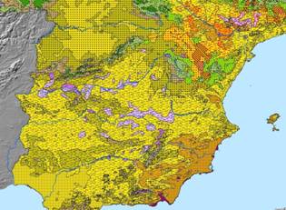 Descripci�n: Descripci�n: MR20agostoContinentalidad96sinriosRichard